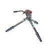 Image1