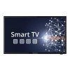 Megasat Camping LED TV Royal Line IV 19" SMART, 47cm (18,5"), Android 11.0