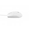 Natec optická myš RUFF 2/1 000 DPI/Kancelářská/Optická/1 000 DPI/Drátová USB/Bílá