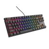 Genesis tichá herní klávesnice THOR 303/TKL/RGB/Outemu Peach/Drátová USB/CZ-SK layout/Černá