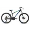 Horské jízdní kolo Capriolo ZED 24HT zeleno-modro-černé