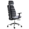 Ergonomická kancelářská židle SPINE šedá, s opěrkou hlavy