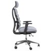 Ergonomická kancelářská židle SPINE šedá, s opěrkou hlavy