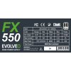 EVOLVEO FX 550,zdroj 550W ATX,14cm,80+,White,3YRW