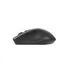 ASUS WT425 Optická myš, bezdrátová, stříbrná
