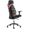 Ergonomická kancelářská židle FISH BONES s opěrkou hlavy, barevná, sezení 8 hodin denně