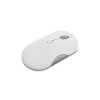 Lenovo 350 Bluetooth Silent Mouse (Cloud Grey)