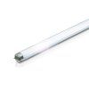 PHILIPS Trubice 15W/10 UVA TL-D ACTINIC T26