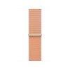 Apple Watch 40mm Cantaloupe Sport Loop