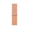 Apple Watch 42mm Cantaloupe Sport Loop