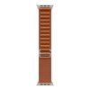 Apple Watch 49mm Terra Cotta Alpine Loop - Medium - Natural Titanium Finish