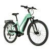 Elektrokolo Leader Fox DENVER dámský 29"/16,5" zelená