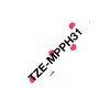 TZeMPPH31 main s
