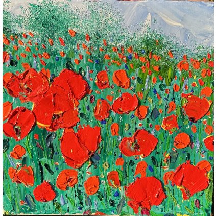 Poppies by the Fence of Grandma's Garden