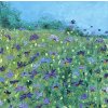 Summer Meadow with Blue Cornflowers