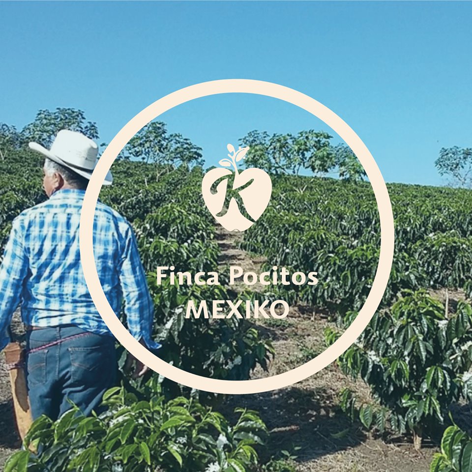 Mexiko - Finca Pocitos (Cup of Excellence)