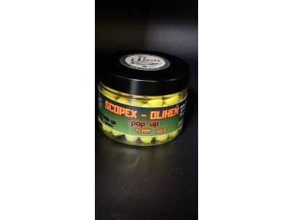 WhatsApp Image 2026 04 10 at 09.44.26