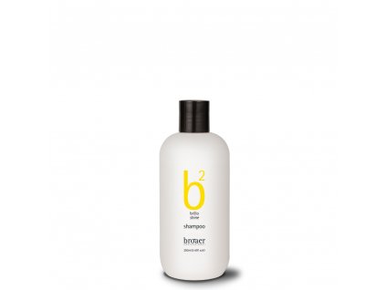 SHAMPOO BRILLO 250 ml