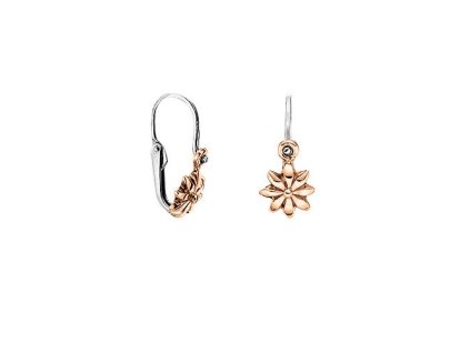 Zlaté náušnice kytičky