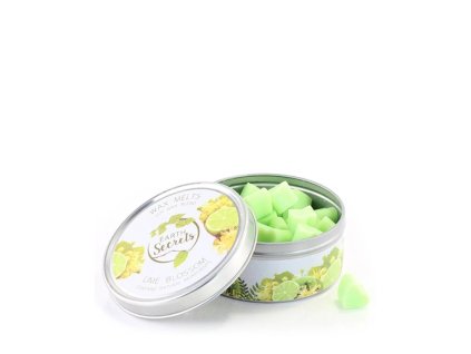 Vonný vosk v krabičce LIME BLOSSOM 50 ks