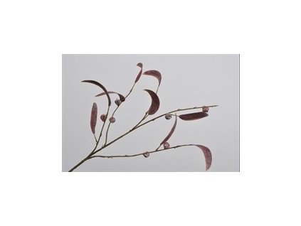 Větvička eukalyptu 80 cm