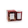 Vánoční vonná svíčka THE SCENTED HOME Christmas Spice 170 g