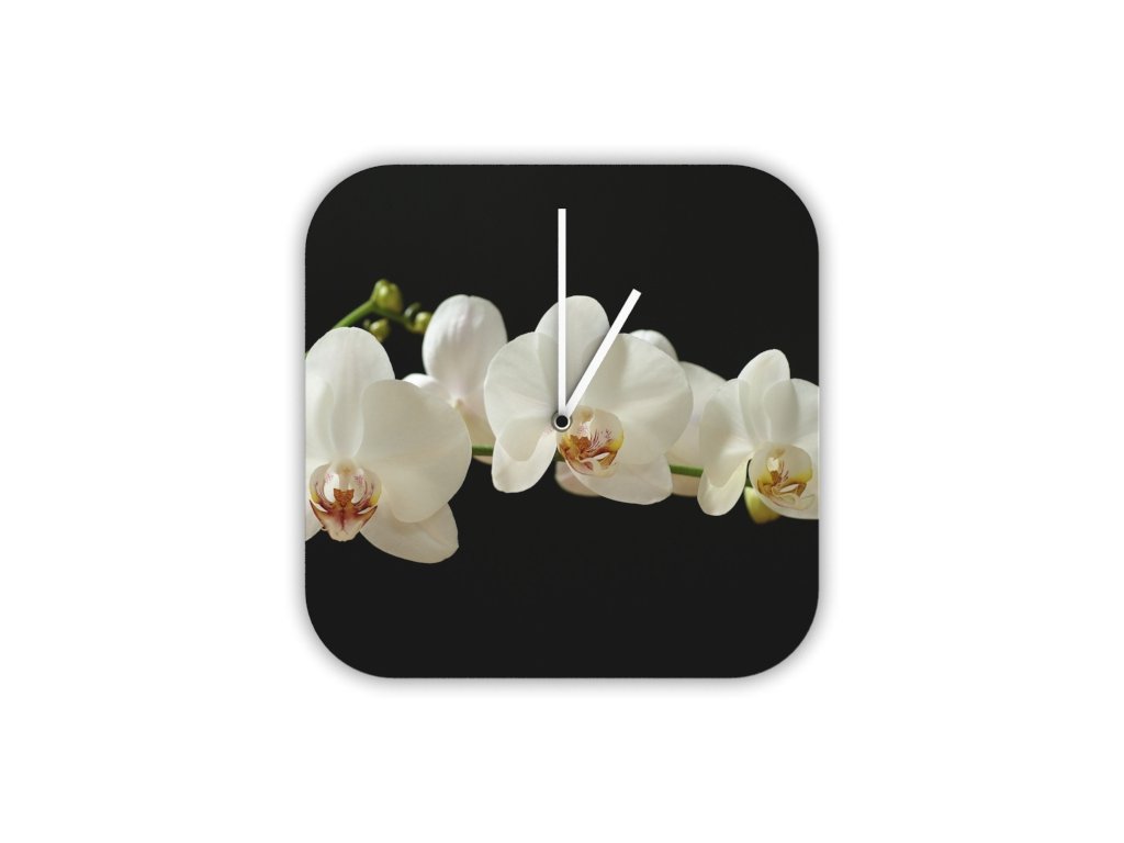 Hodiny s motivem květina Orchidej bílá
