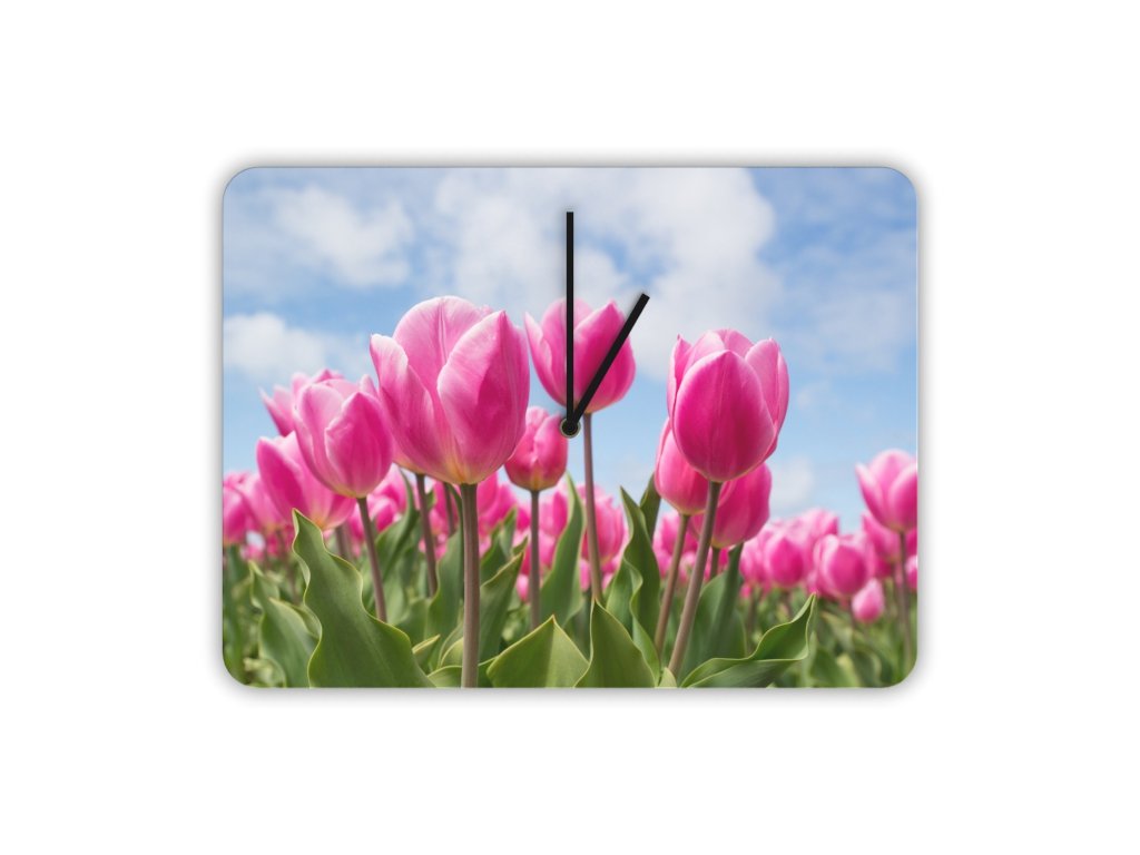 Hodiny s motivem květiny Tulipány růžové