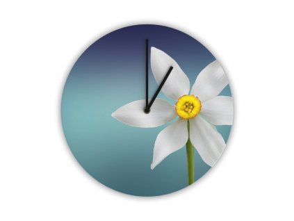 Hodiny s motivem květ Narcisu
