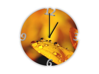 Hodiny s motivem rosa na listu