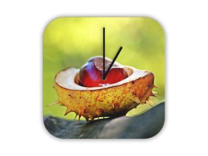 Hodiny s motivem kaštan