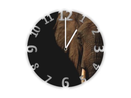 Hodiny s motivem Slon africký