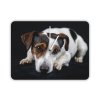 Hodiny s motivem pes Jack Russel