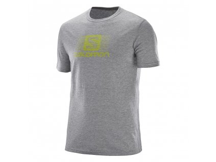Salomon BLEND LOGO SS TEE M Grey Heather