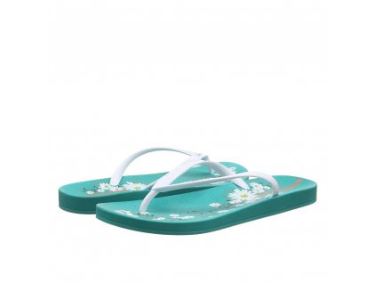 Ipanema Anatomic Temas V
