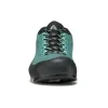Asolo ELDO LTH GV ML petroleum