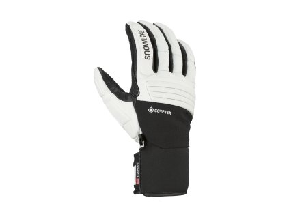 Anatomic GTX Glove 116300 129 front web