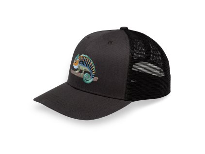 kids feel good trucker clingin chameleon front ss26 HR