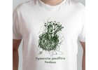 tričko s motivem Pyrrhocactus grandiflorus, Farellones