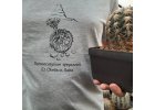 Tričko s motivem kaktusu Gymnocalycium spegazzinii