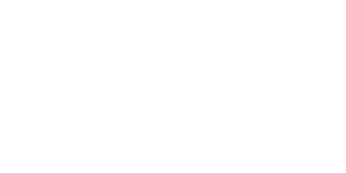 Jogista