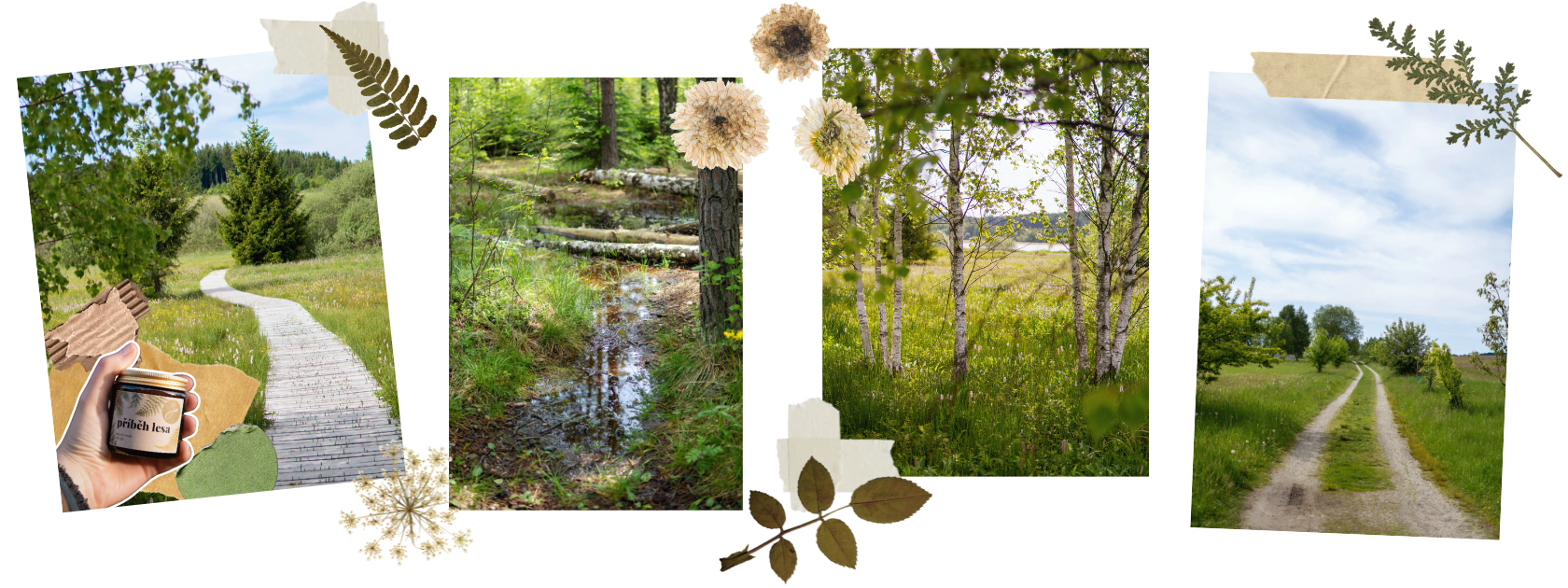 Letní speciál č.2 Olšina