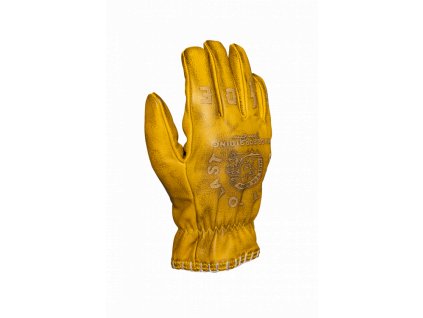 jdg7042 coyote yellow grey freisteller 2 lr