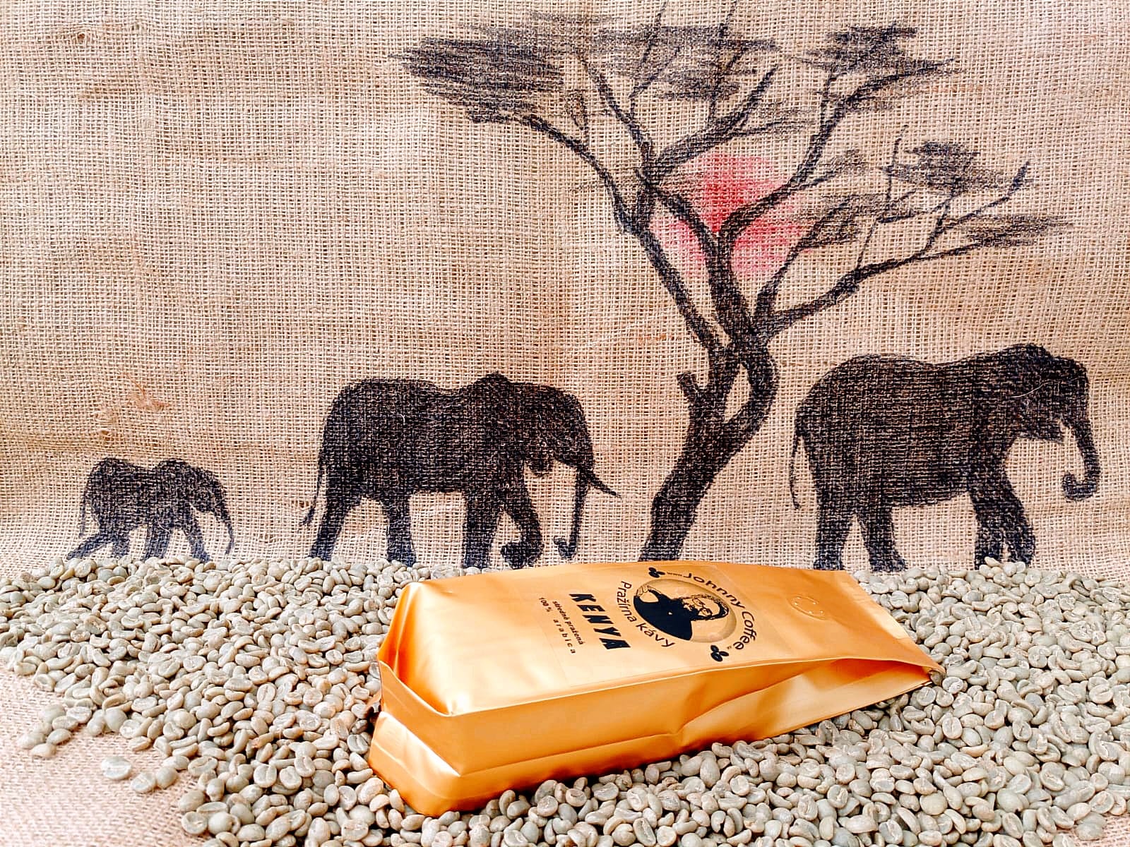 Blondýny nebo brunety, světlá nebo tmavá káva?