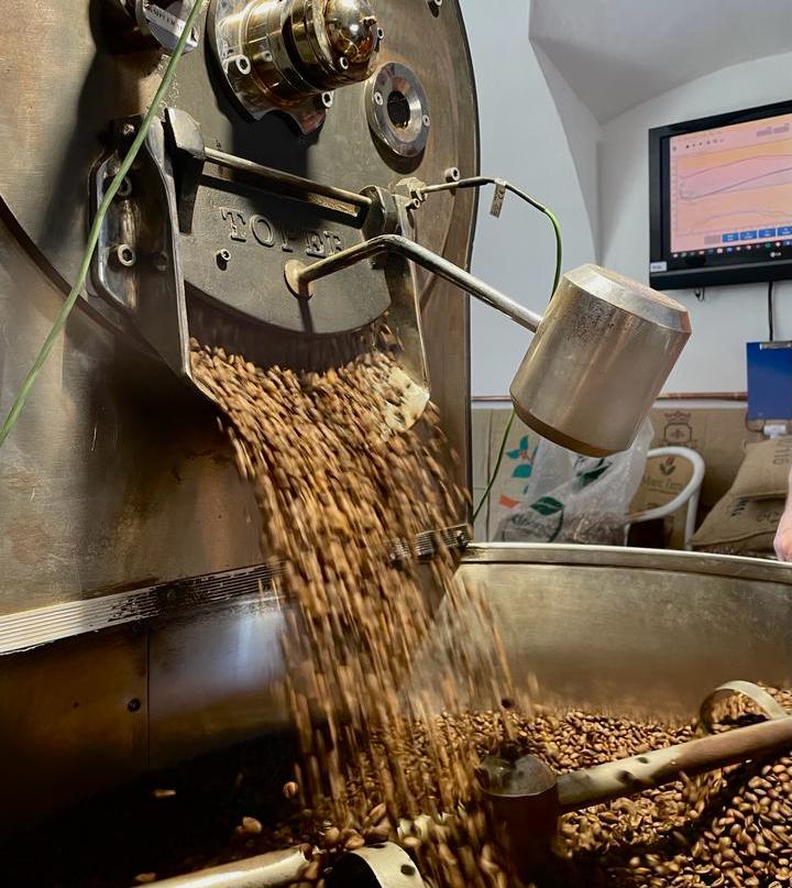 Tak která, arabica nebo robusta?