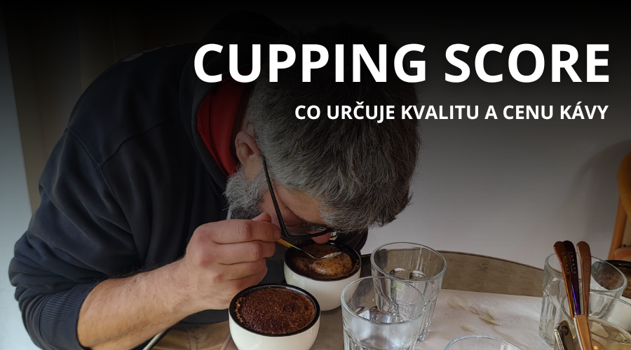 Co je cupping score? Jak se určuje kvalita kávy?
