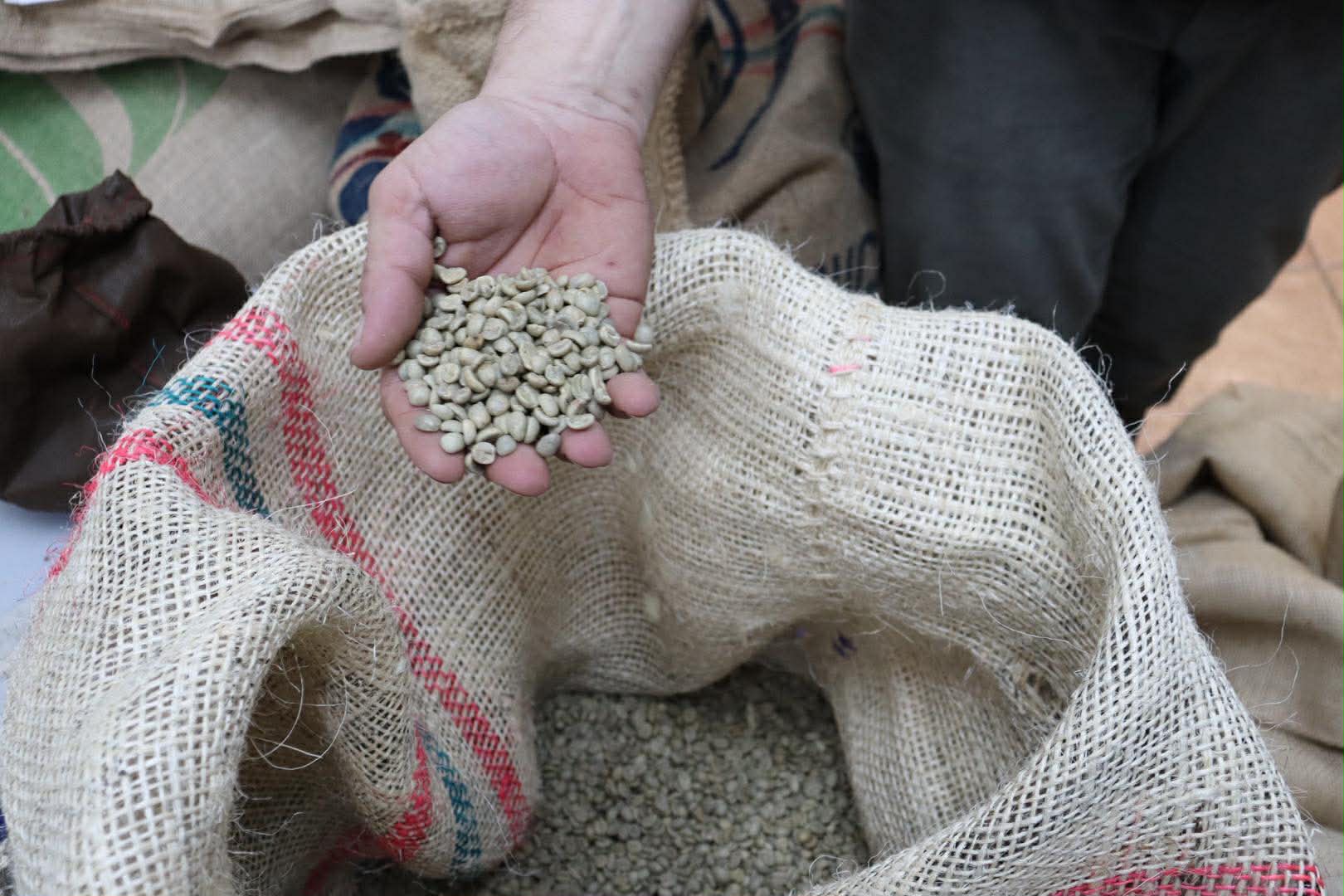 Pytel se zelenou kávou v pražírně Johnny Coffee