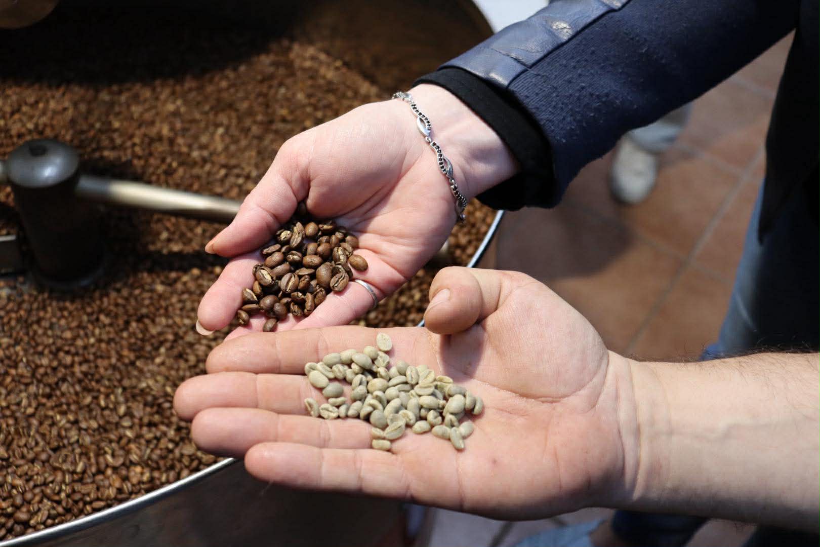 Zelená káva před pražením — detail zrn v pražírně Johnny Coffee