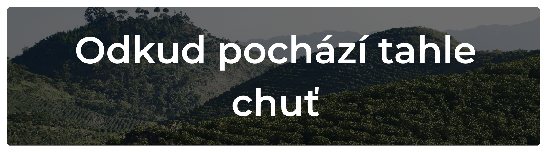 O kávě kterou pro vás pražíme