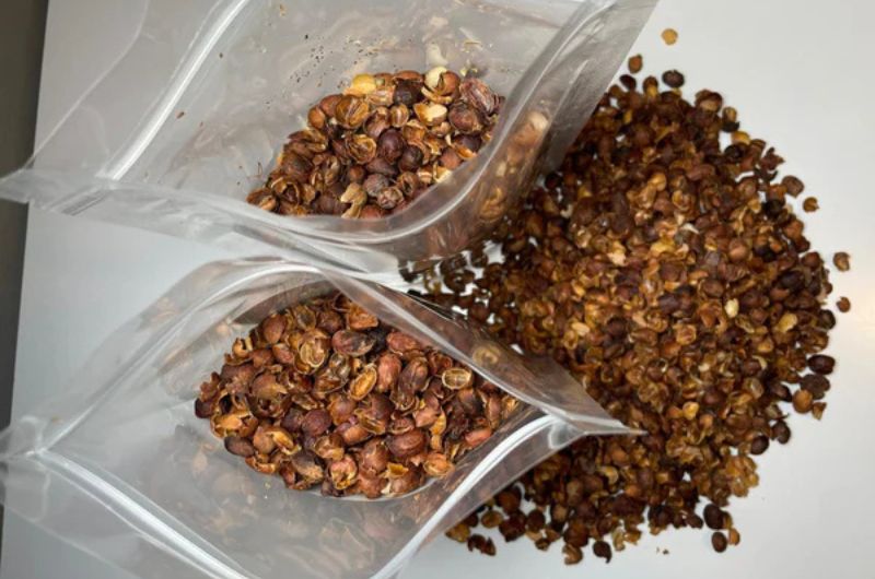 Čaj z cascary – čerstvě baleno v Johnny Coffee